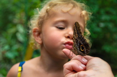 A child holds a beautiful butterfly. Selective focus. Nature.の写真素材