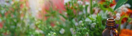 Essential oil of flowers and herbs drop. Selective focus. Nature.の写真素材