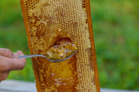 Remove honey from the honeycomb with a spoon. Selective focus. Food.