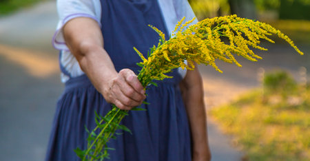 An elderly woman is allergic to ragweed. selective focus. Nature.の写真素材