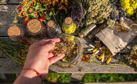 Medicinal herbs in hands. Selective focus.の写真素材