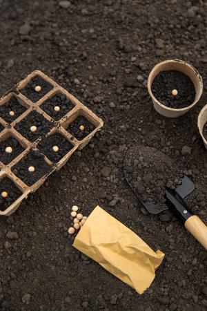 Sow seeds in the garden for rose gardens. selective focus.