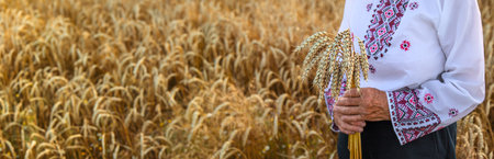 Woman in a wheat field wearing an embroidered shirt. Selective focus.の写真素材