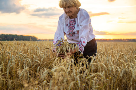 Woman in a wheat field wearing an embroidered shirt. Selective focus.の写真素材