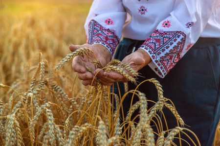 Woman in a wheat field wearing an embroidered shirt. Selective focus.の写真素材