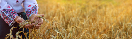 Woman in a wheat field wearing an embroidered shirt. Selective focus.の写真素材