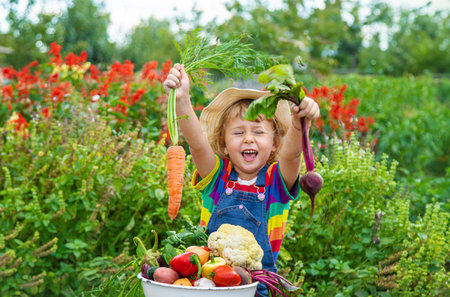 Child with vegetables in the garden. Selective focus.