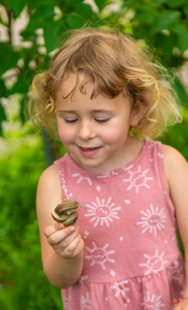 Child holding a snail on his hand. Selective focus.の写真素材