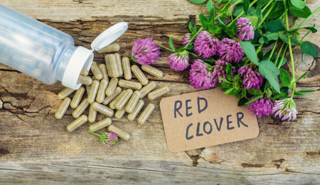 Red Clover Extract and Supplements. Selective Focus.の写真素材