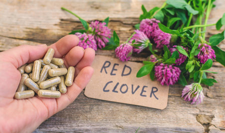 Red Clover Extract and Supplements. Selective Focus.の写真素材
