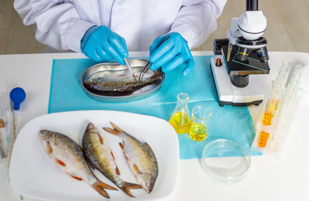Research fish in the lab. Selective focus.