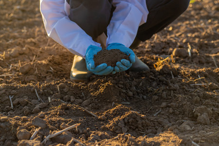 Field soil samples for analysis. Selective focus.の写真素材