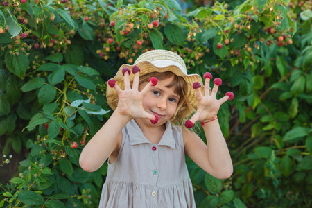 A child with a raspberry harvest in the garden. Selective focus.