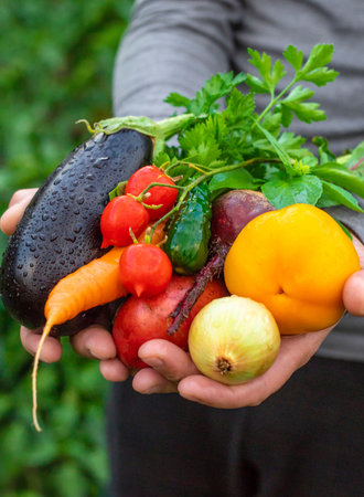 A man holding vegetables in his hands. Selective focus.の写真素材