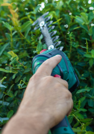 A gardener trims bushes in the garden. Selective focus.