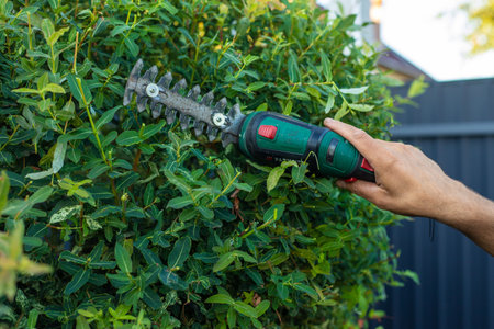 A gardener trims bushes in the garden. Selective focus.