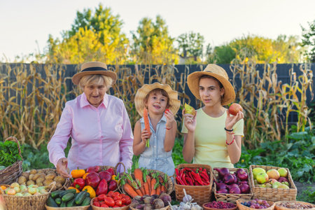 farmers market with vegetables. Selective focus.