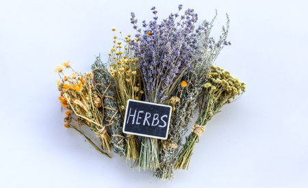 Dried medicinal herbs and flowers. Selective focus.の写真素材
