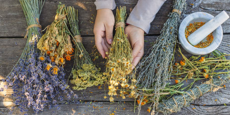 Woman with dried medicinal herbs. Selective focus.の写真素材