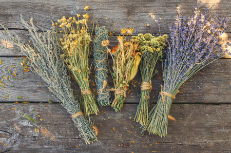 Dried medicinal herbs and flowers. Selective focus.