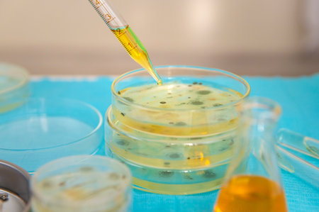 Research in the laboratory Petri dishes. Selective focus.