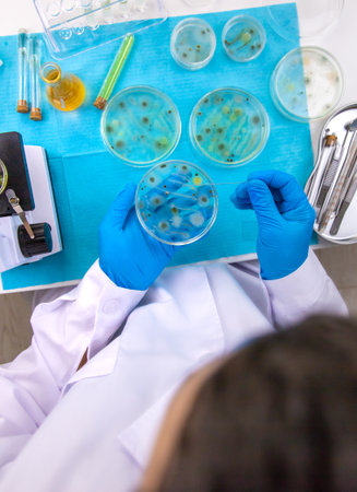 Research in the laboratory Petri dishes. Selective focus.