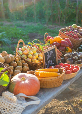 Fruits and vegetables at a farmers market. Selective focus.の写真素材