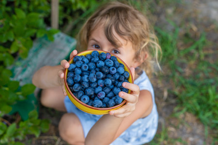Blueberry harvest in a child hands. Selective focus.の写真素材
