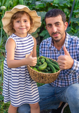 A farmer and a child holding a cucumber harvest. Selective focus.の写真素材