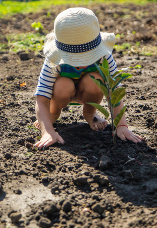 Child Planting a Tree. Selective Focus.の写真素材