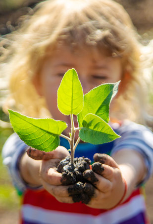 Child Planting a Tree. Selective Focus.の写真素材
