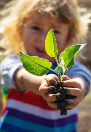 Child Planting a Tree. Selective Focus.の写真素材
