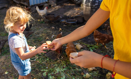 Child holding eggs on a farm. Selective focus.の写真素材