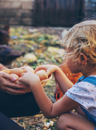 Child holding eggs on a farm. Selective focus.の写真素材