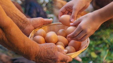 Child holding eggs on a farm. Selective focus.の写真素材