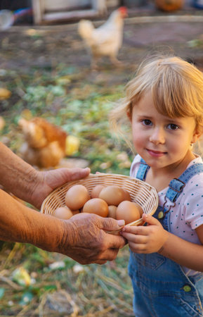 Child holding eggs on a farm. Selective focus.の写真素材