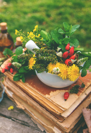 Medicinal herbs alternative medicine in nature. Selective focus.の写真素材