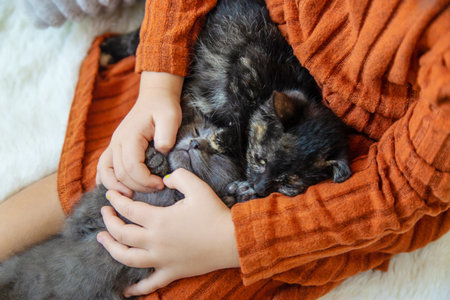 Child playing with kittens at home. Selective focus.の写真素材