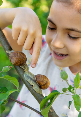 The child examines the snails on the tree. Selective focus.の写真素材