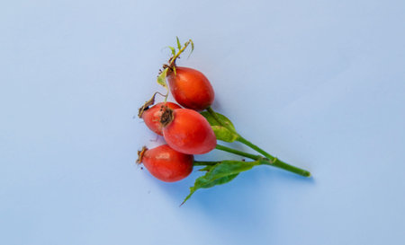 Rosehip on a white background. Selective focus.の写真素材