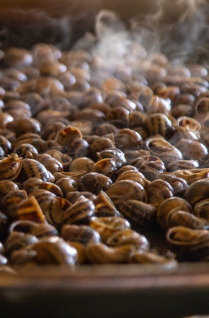 escargot is cooked. Selective focus.の写真素材
