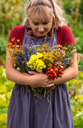A woman holds medicinal herbs in her hands. Selective focus.の写真素材