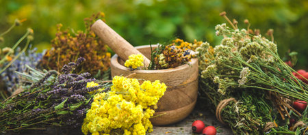 Dried medicinal herbs on the table. Selective focus.の写真素材