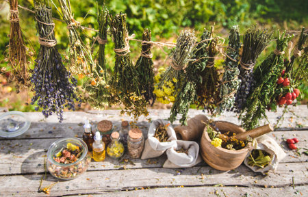 Dried medicinal herbs on the table. Selective focus.の写真素材