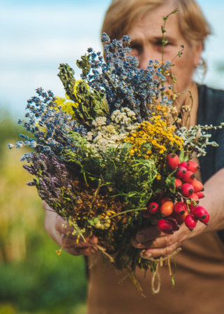 An elderly woman holds medicinal herbs in her hands. Selective focus.の写真素材