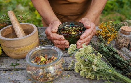 An elderly woman brews herbal tea. Selective focus.の写真素材