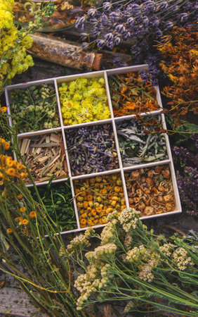 Medicinal herbs on the table. Selective focus.の写真素材