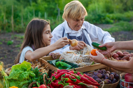 Grandmother and granddaughter sell vegetables and fruits at the farmers market. Selective focus.の写真素材