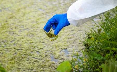 Take a water sample from the river. Selective focus.