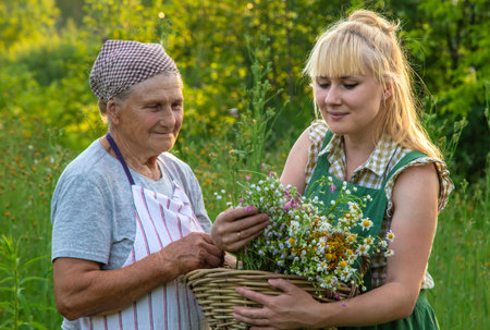 A woman collects medicinal herbs. Selective focus.